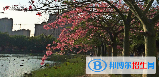 廣西經(jīng)濟(jì)職業(yè)學(xué)院五年制大專怎么樣、好不好