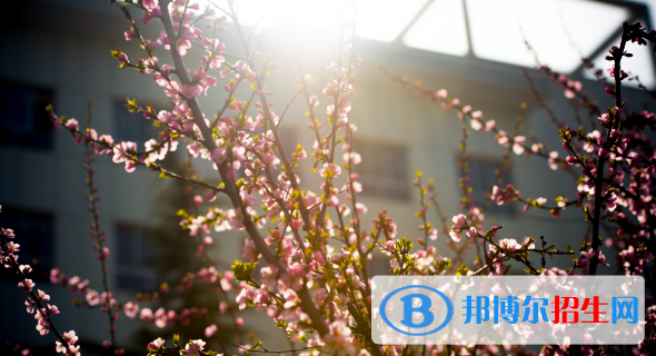 慶陽(yáng)職業(yè)技術(shù)學(xué)院2020年報(bào)名條件、招生要求、招生對(duì)象