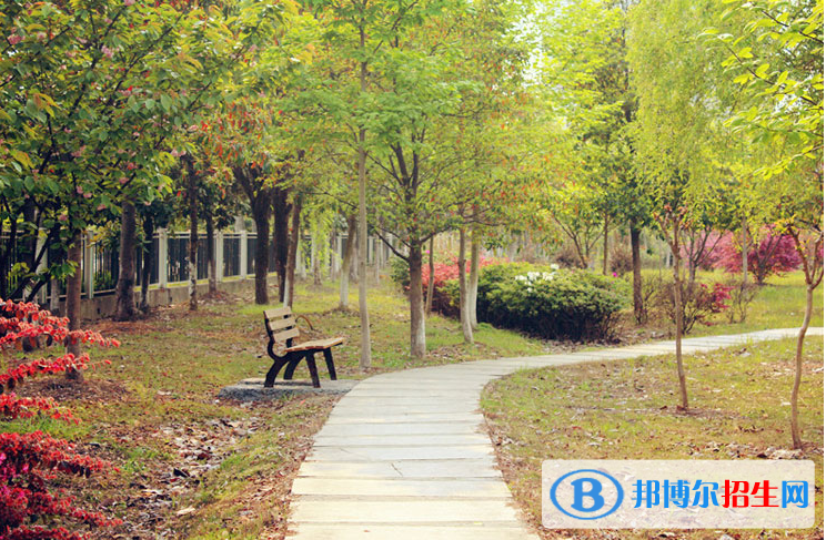浙江經(jīng)濟職業(yè)技術學院2020年有哪些專業(yè)