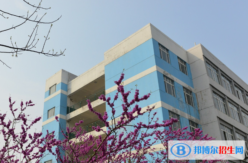 武漢軟件工程職業(yè)學院5