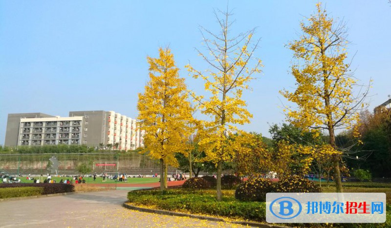 重慶醫(yī)藥高等專科學(xué)校怎么樣、好不好