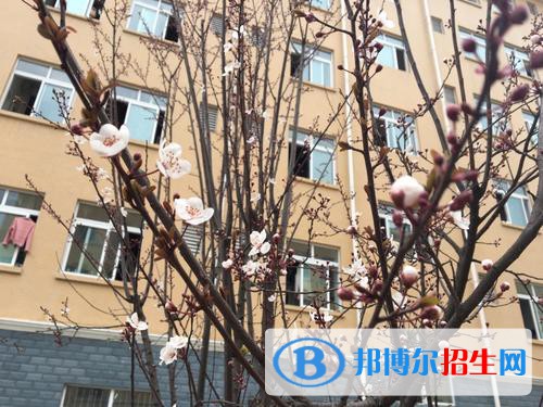 四川電子機械職業(yè)技術學院是幾專