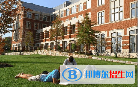 斯代文森國際學(xué)校(中國-上海)怎么樣、好不好