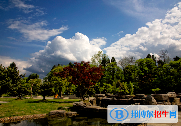 麗水職業(yè)技術(shù)學(xué)院2020年報名條件、招生要求、招生對象