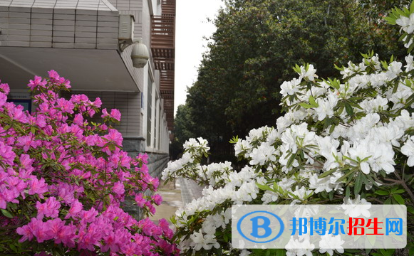 長沙麓山國際實(shí)驗(yàn)學(xué)校2020年招生辦聯(lián)系電話