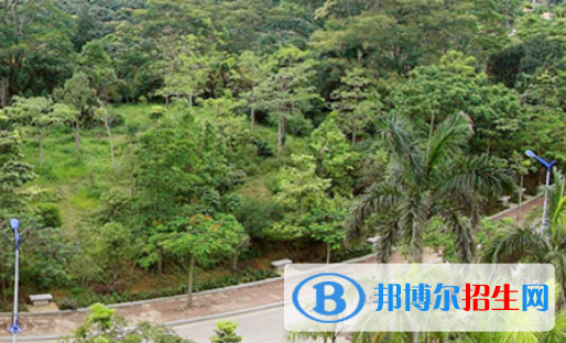 湛江理工職業(yè)學(xué)校2020年報(bào)名條件、招生要求、招生對(duì)象