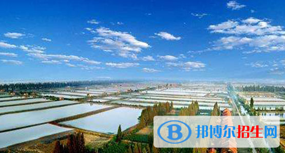 安徽省農(nóng)業(yè)廣播電視學(xué)校2020年有哪些專(zhuān)業(yè)