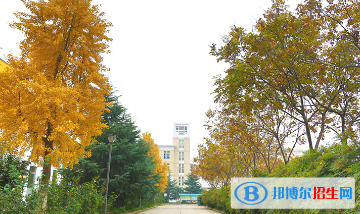 鄭州鄭中國際學(xué)校初中部2020年報(bào)名條件、招生要求、招生對象