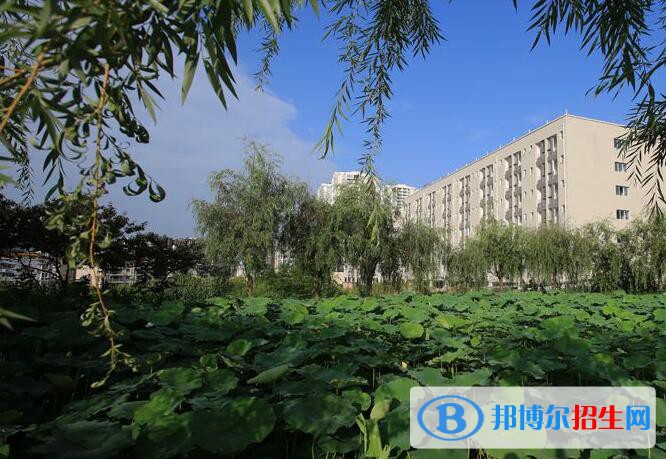 重慶安全技術職業(yè)學院2020年招生代碼
