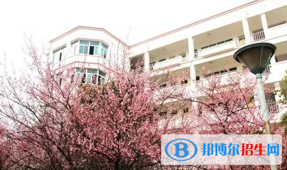 張家港外國語學校初中部2020年招生簡章
