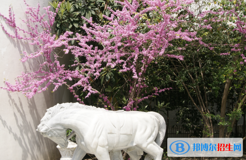 杭州國(guó)泰外語(yǔ)藝術(shù)學(xué)校初中部怎么樣、好不好