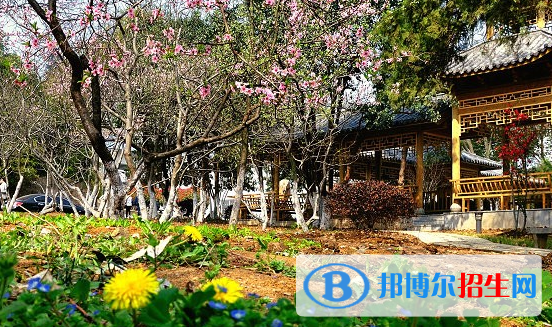 安徽林業(yè)職業(yè)技術(shù)學(xué)院2020年報(bào)名條件、招生要求、招生對(duì)象