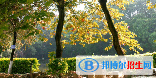 廣西民族中等專業(yè)學(xué)校怎么樣、好不好