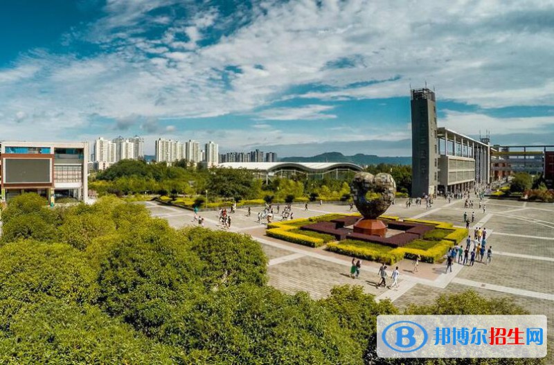 重慶電子工程職業(yè)學院2020年招生代碼