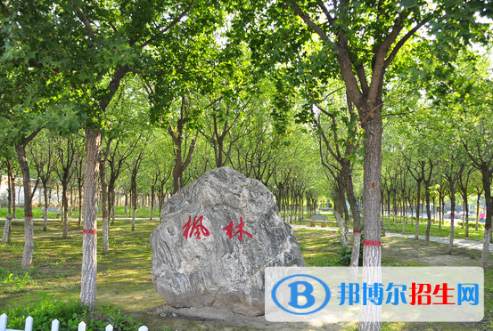 渭南橋山中學(xué)怎么樣、好不好
