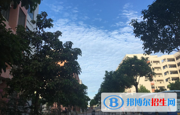茂名職業(yè)技術(shù)學院五年制大專2020年報名條件、招生要求、招生對象