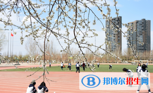 東北育才學校國際小學部2020年招生簡章