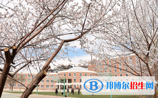 東北育才學(xué)校國際小學(xué)部2020年招生計劃