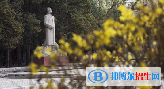 東北育才學(xué)校國際小學(xué)部2020年報名條件、招生要求、招生對象