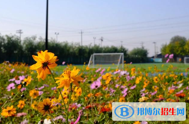 北京私立樹人瑞貝學校小學部地址在哪里