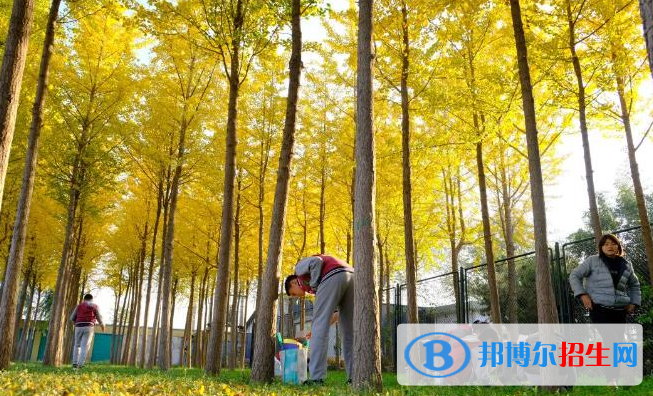 北京私立樹人瑞貝學(xué)校小學(xué)部怎么樣、好不好