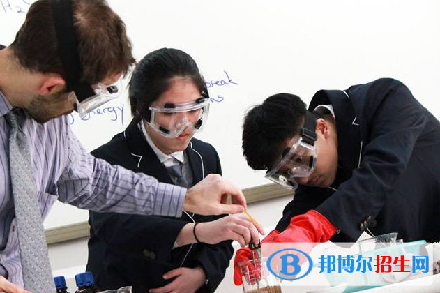 美國利弗莫爾國際學校小學部網(wǎng)站網(wǎng)址