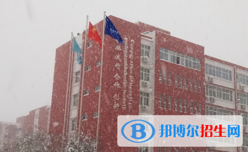 洛陽(yáng)華洋國(guó)際學(xué)校小學(xué)部2020年學(xué)費(fèi)、收費(fèi)多少