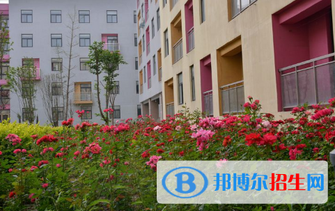 河南師大附中雙語國際學(xué)校小學(xué)部怎么樣、好不好