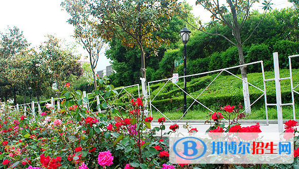 民辦萬博科技職業(yè)學(xué)院是幾專