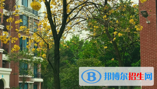 廣東碧桂園職業(yè)學(xué)院2020年學(xué)費(fèi)、收費(fèi)多少