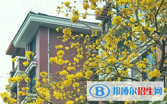 廣東碧桂園職業(yè)學(xué)院2020年報(bào)名條件、招生要求、招生對(duì)象