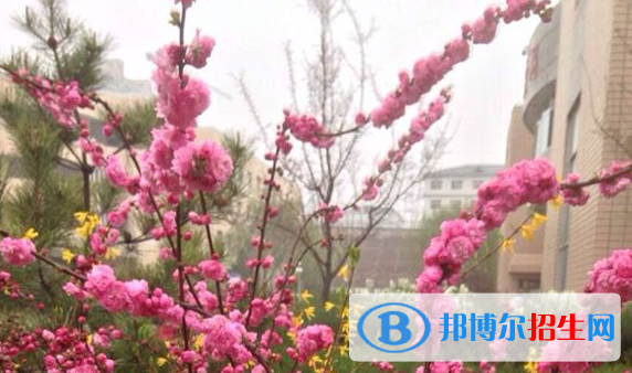 神木四中2020年學(xué)費(fèi)、收費(fèi)多少