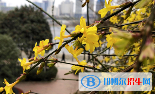  安康第二中學2020年學費、收費多少