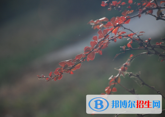  河北靈壽中學怎么樣、好不好