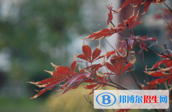  河北靈壽中學(xué)2020年報(bào)名條件、招生要求、招生對(duì)象