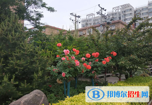 石家莊四十中學(xué)2020年報名條件、招生要求、招生對象