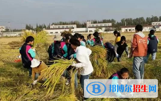 江蘇宜興高級中學(xué)2020年學(xué)費、收費多少