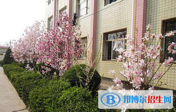 林南倉中學(xué)2020年招生計(jì)劃