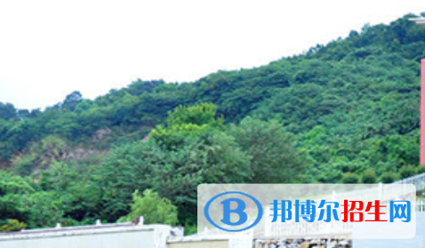安慶獨秀學校2021年有哪些專業(yè)