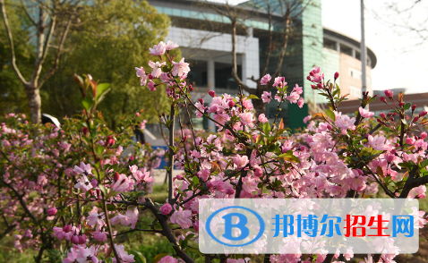 南京師范大學(xué)附屬中學(xué)江寧分校2021年招生計劃