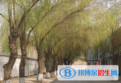 徐水綜合高中2021年學費、收費多少