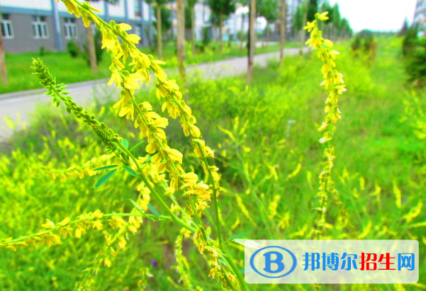 張北縣第一中學2021年怎么樣、好不好