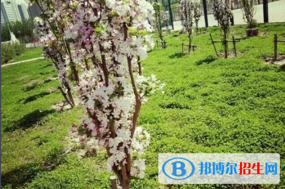 河北滄州第一中學(xué)2021年招生簡章