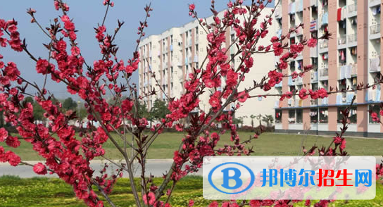 皖西衛(wèi)生職業(yè)學院2021年有哪些專業(yè)