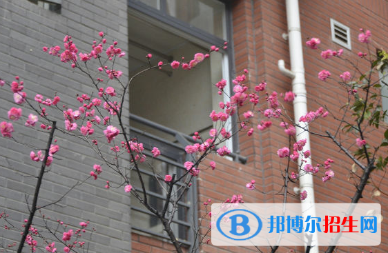 成都七中萬(wàn)達(dá)學(xué)校