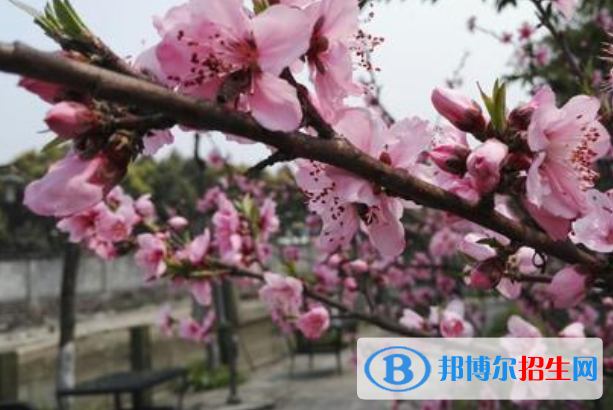 四川省大邑縣晉原中學(xué)2021年排名