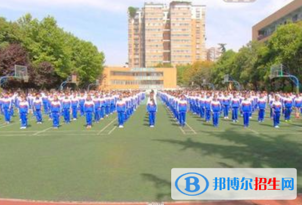 成都大學附屬中學網(wǎng)站網(wǎng)址
