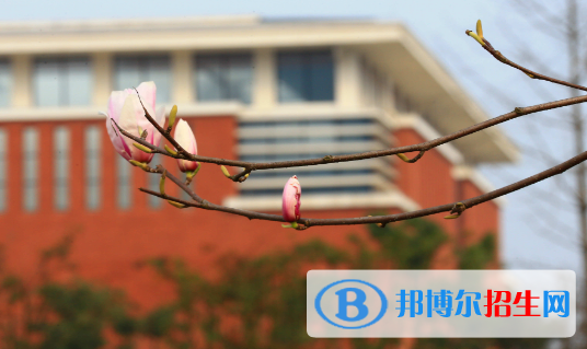 遵義醫(yī)藥高等專科學校五年制大專2021年招生代碼