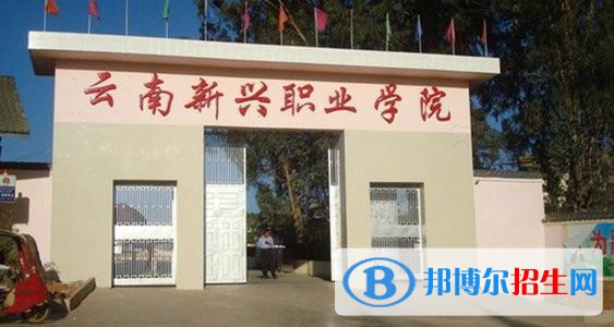 云南新興職業(yè)學院五年制大專網(wǎng)站網(wǎng)址