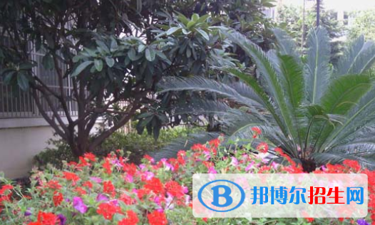 臨泉縣靖波信息技術學校怎么樣、好不好